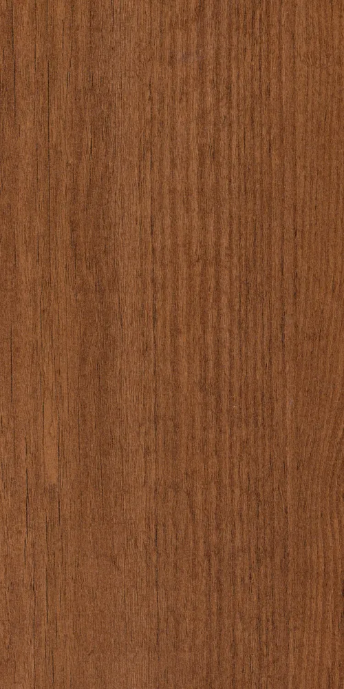Chinto Pine