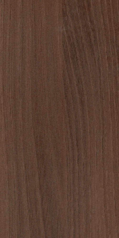 Acacia Dark