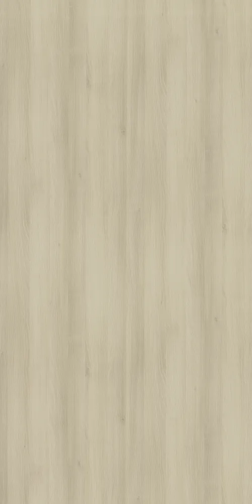 Acacia Light